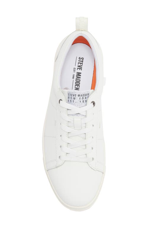 Steve Madden Nickai Sneaker In White