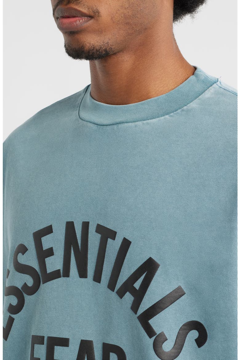 Campus '90s Long Sleeve Logo Graphic T-Shirt, Alternate, color, FADED COASTAL