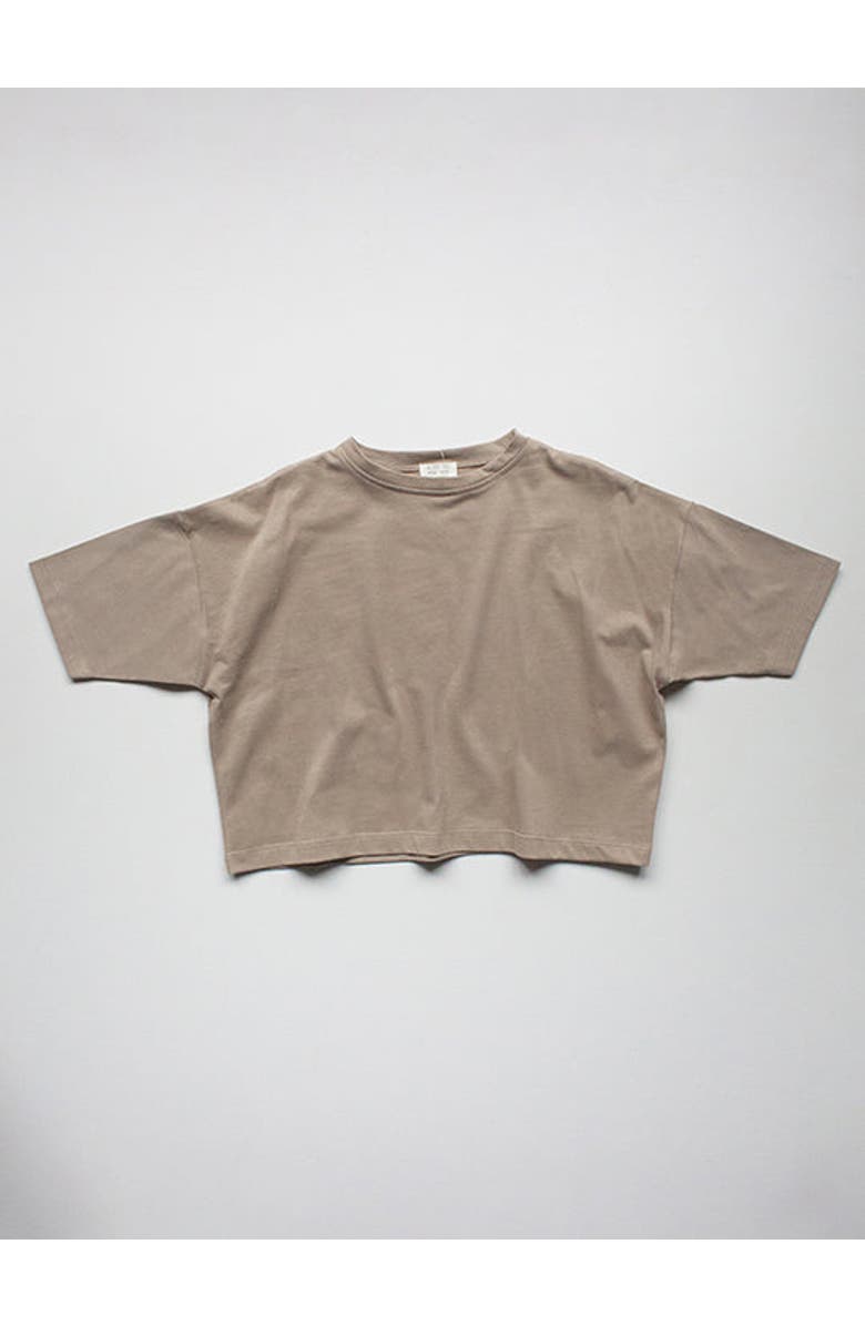 The Simple Folk The Oversized Tee, Main, color, Mushroom
