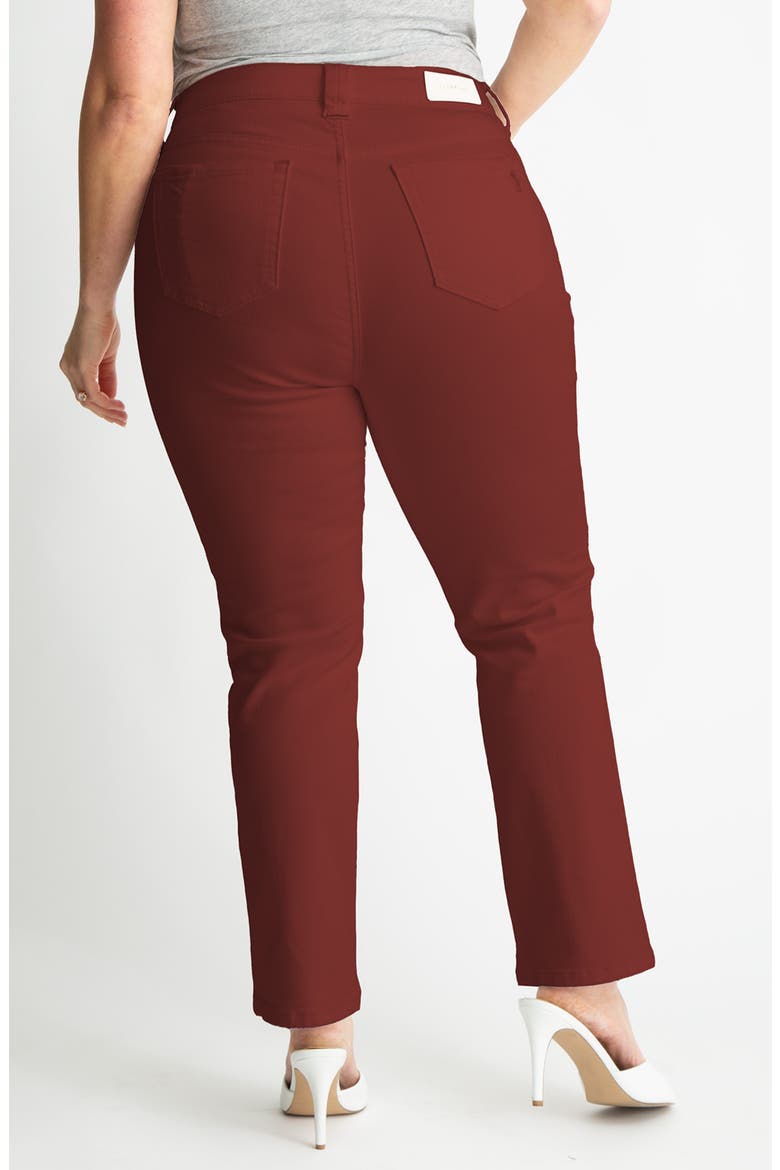 High Waist Ankle Slim Straight Leg Pants, Alternate, color, BURGUNDY
