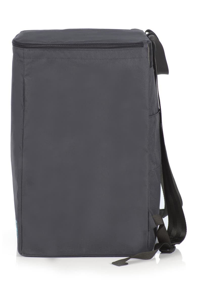 Pico Car Seat Travel Bag, Alternate, color, RAVEN