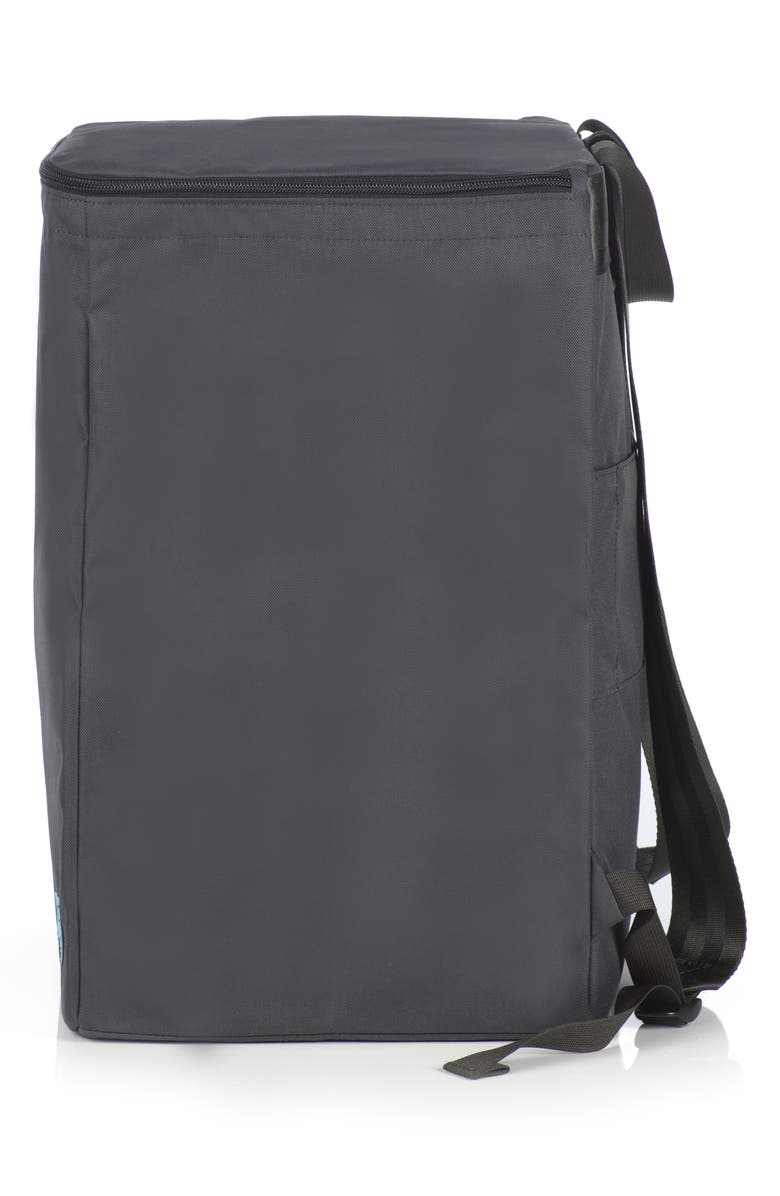 WAYB Pico Car Seat Travel Bag, Alternate, color, 