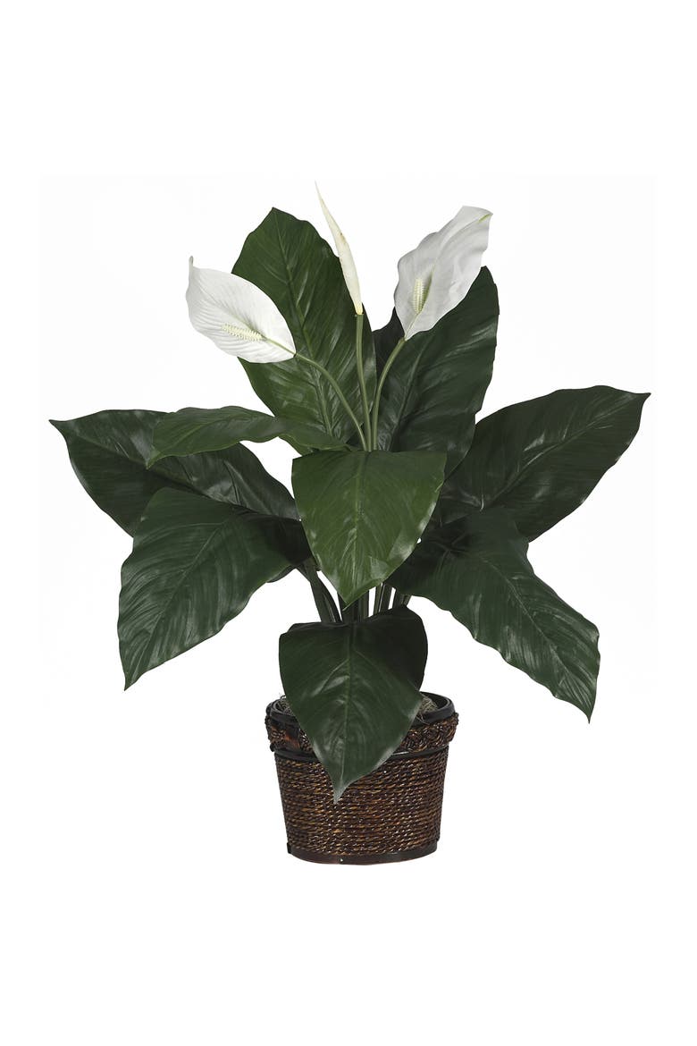 Spathiphyllum with Wicker Artificial Plant, Main, color, Green