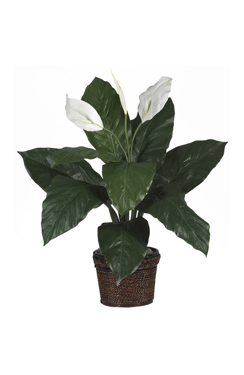 NEARLY NATURAL Spathiphyllum with Wicker Artificial Plant, Main, color, Green