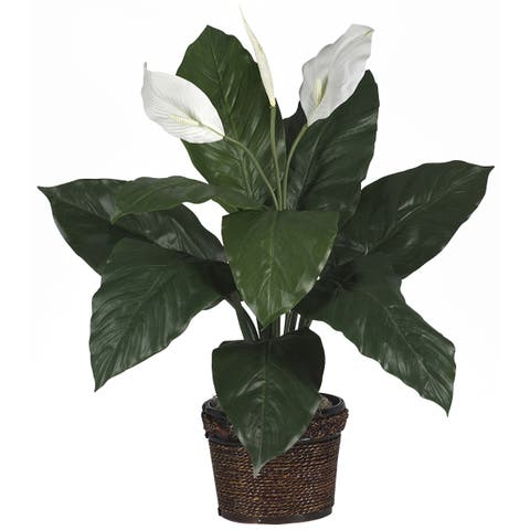 Spathiphyllum with Wicker Artificial Plant