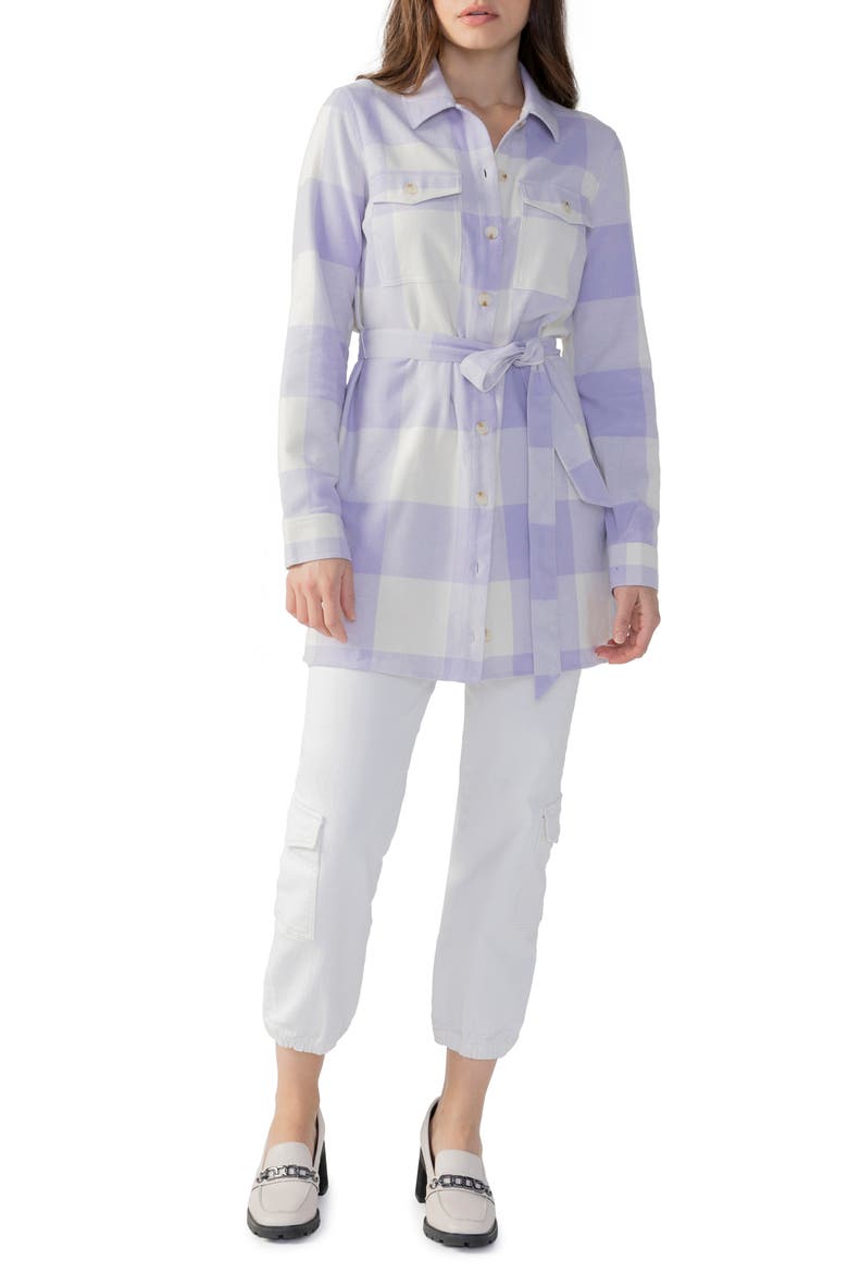 Brushed Plaid Tie Waist Long Sleeve Shirtdress, Alternate, color, WSTC