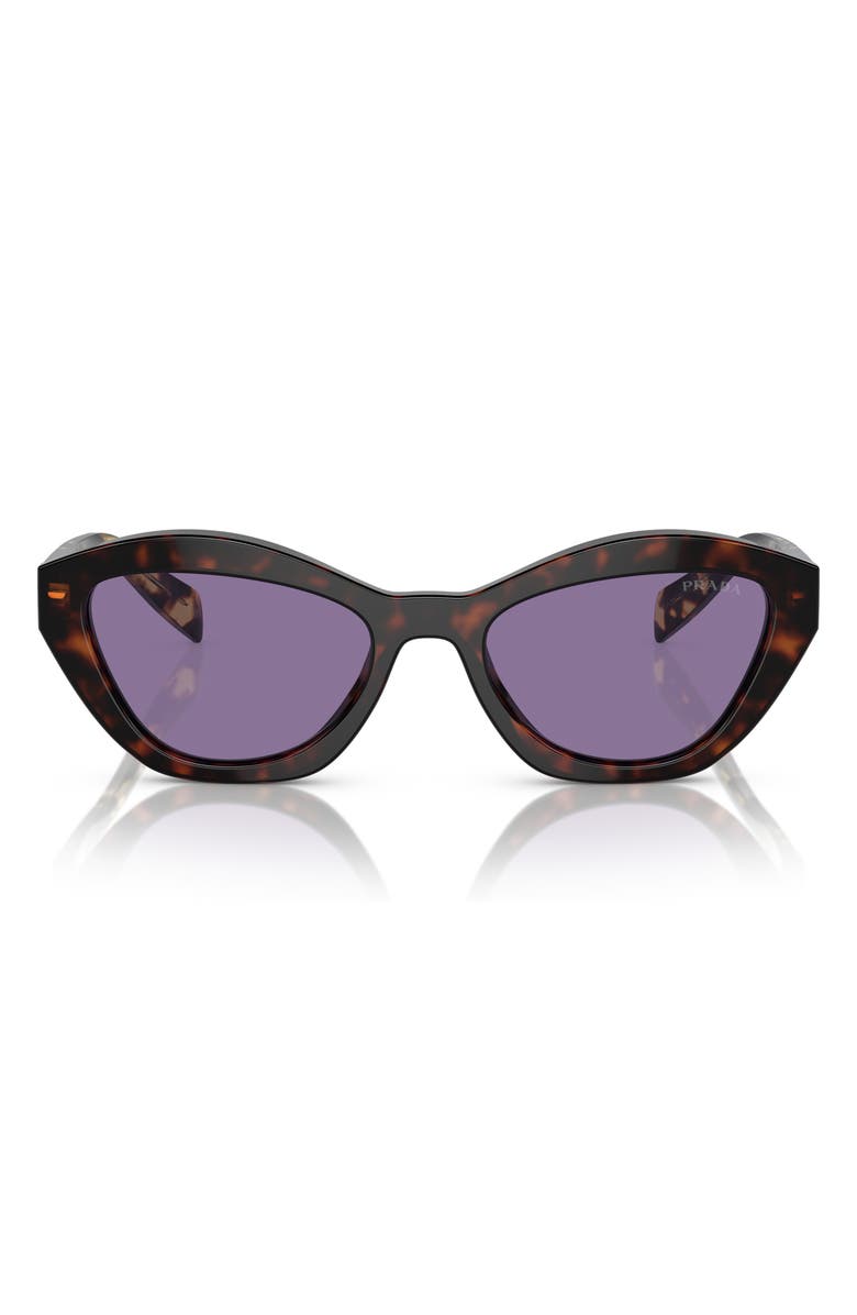 Prada 52mm Butterfly Sunglasses, Main, color, Havana