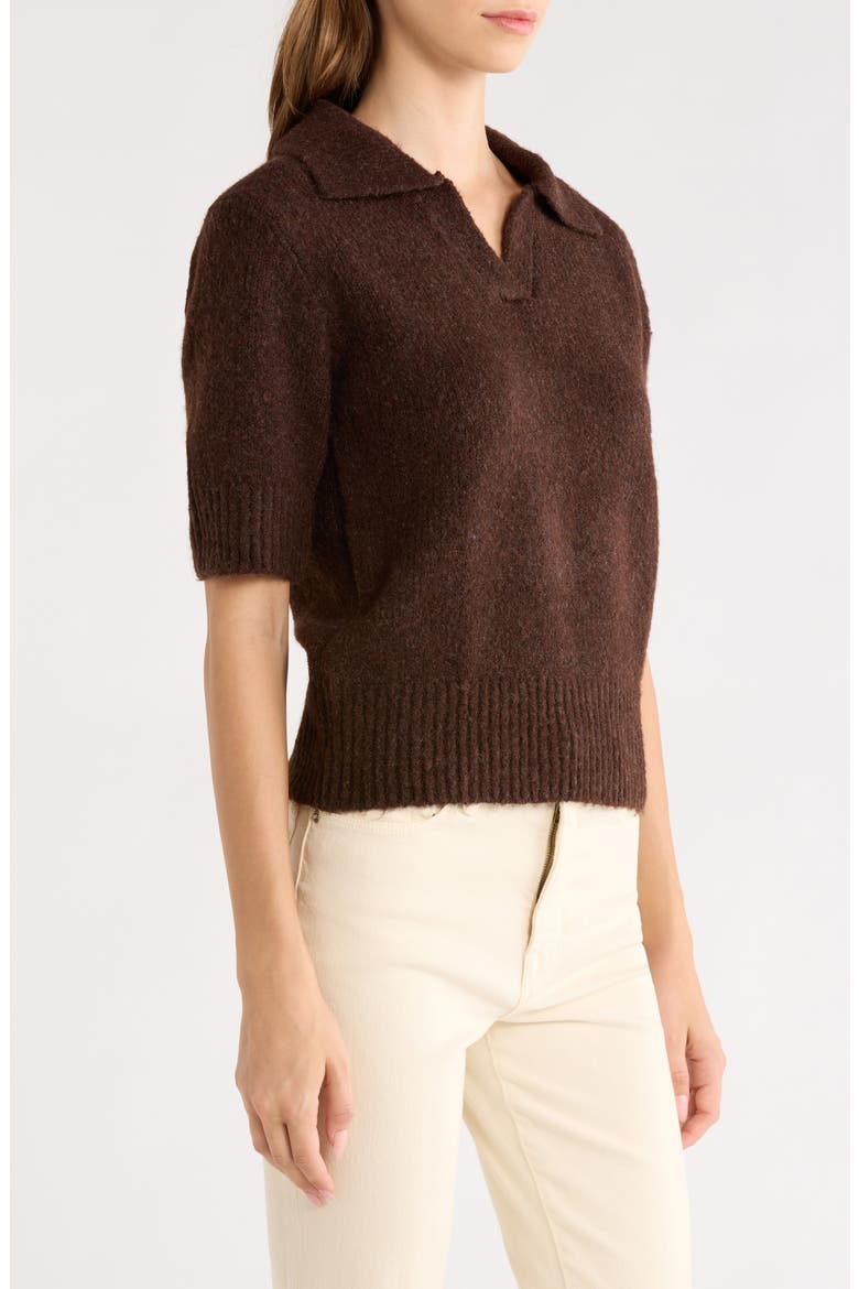 Shiloh Polo Sweater, Alternate, color, CHOCOLATE