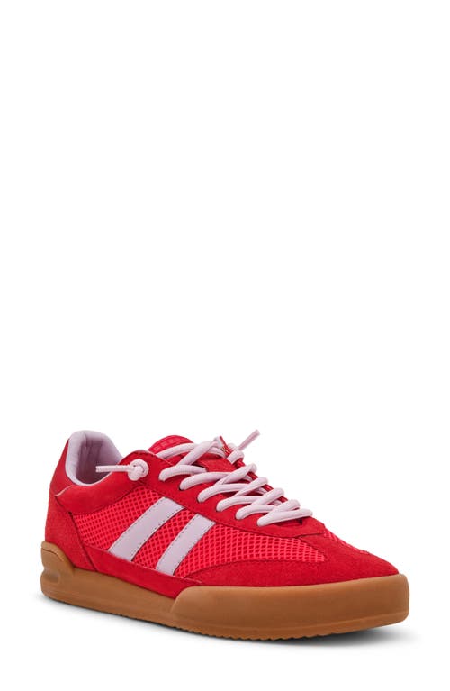 STEVE MADDEN STEVE MADDEN VERDICT MESH SNEAKER