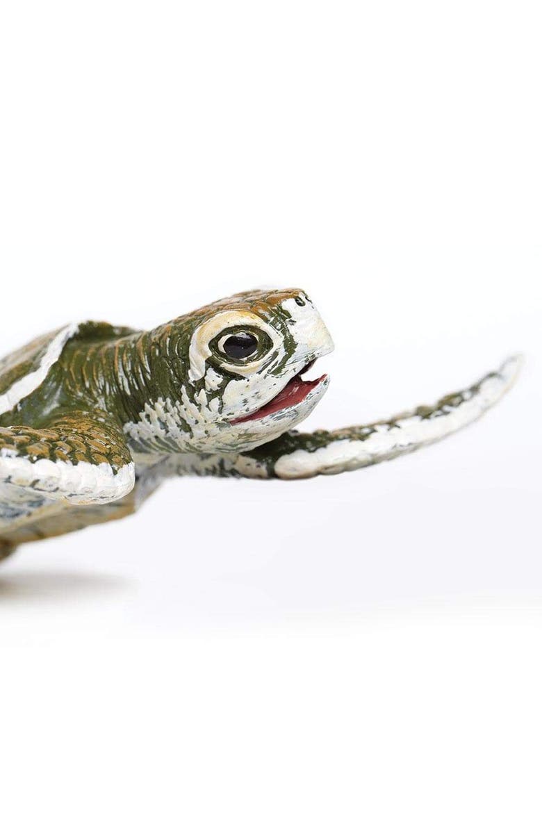 Safari Ltd. Kemps Ridley Sea Turtle Baby Toy, Alternate, color, NO COLOR