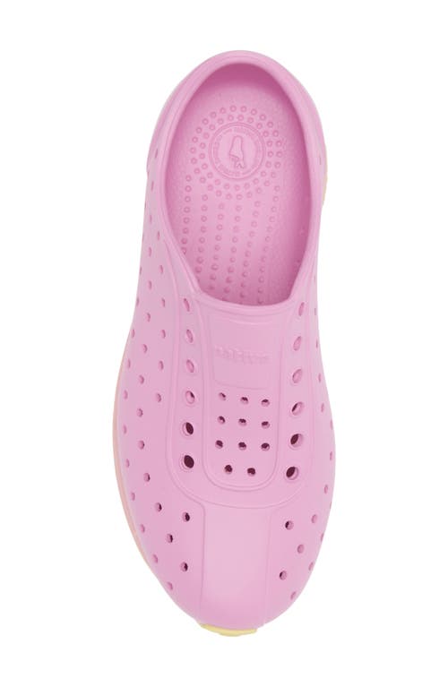 Native Shoes Robbie Sugarlite Slip-on Shoe In Pink