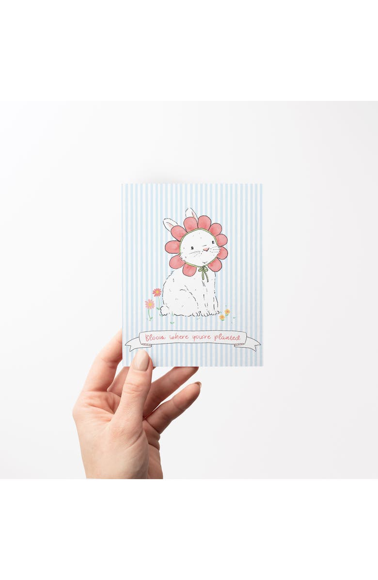 Ramus & Co Friendship Greeting Card Pack Assorted Set, Alternate, color, Multi-Pack