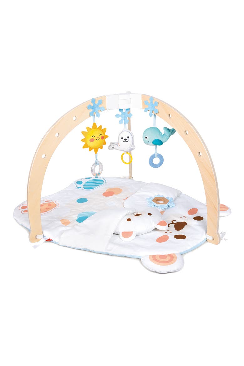 Snuggle Bear Activity Gym, Main, color, MULTI