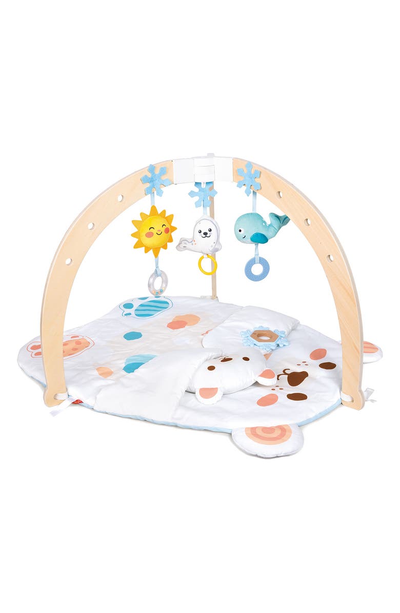 Hape Snuggle Bear Activity Gym, Main, color, Multi