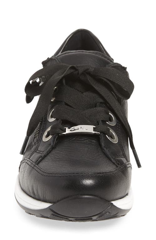 Ara Ollie Lace-up Sneaker In Black