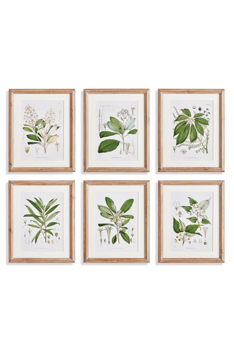 Classic Flower And Leaf Study Framed Wall Art Set of 6, Main, color, Green