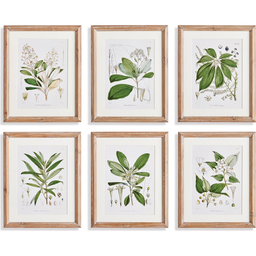 Napa Home & Garden Classic Flower And Leaf Study Framed Wall Art Set Of 6 In Green