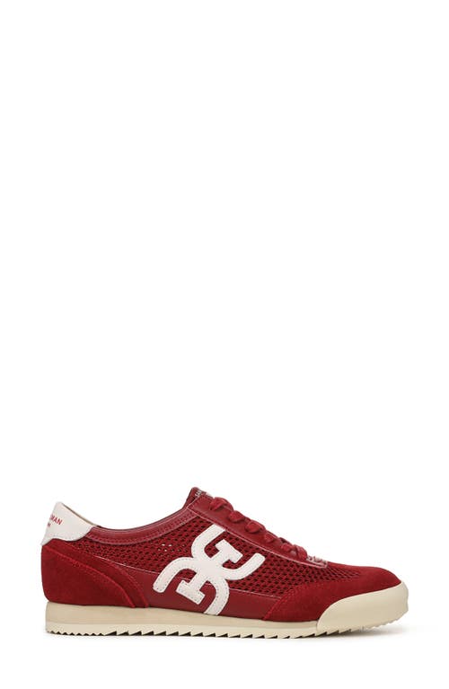 Sam Edelman Ivey Mesh Sneaker In Red