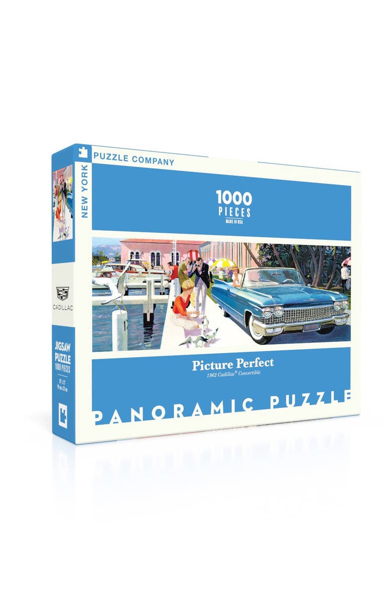NEW YORK PUZZLE COMPANY Picture Perfect 1000 Piece Puzzle, Alternate, color, NO COLOR