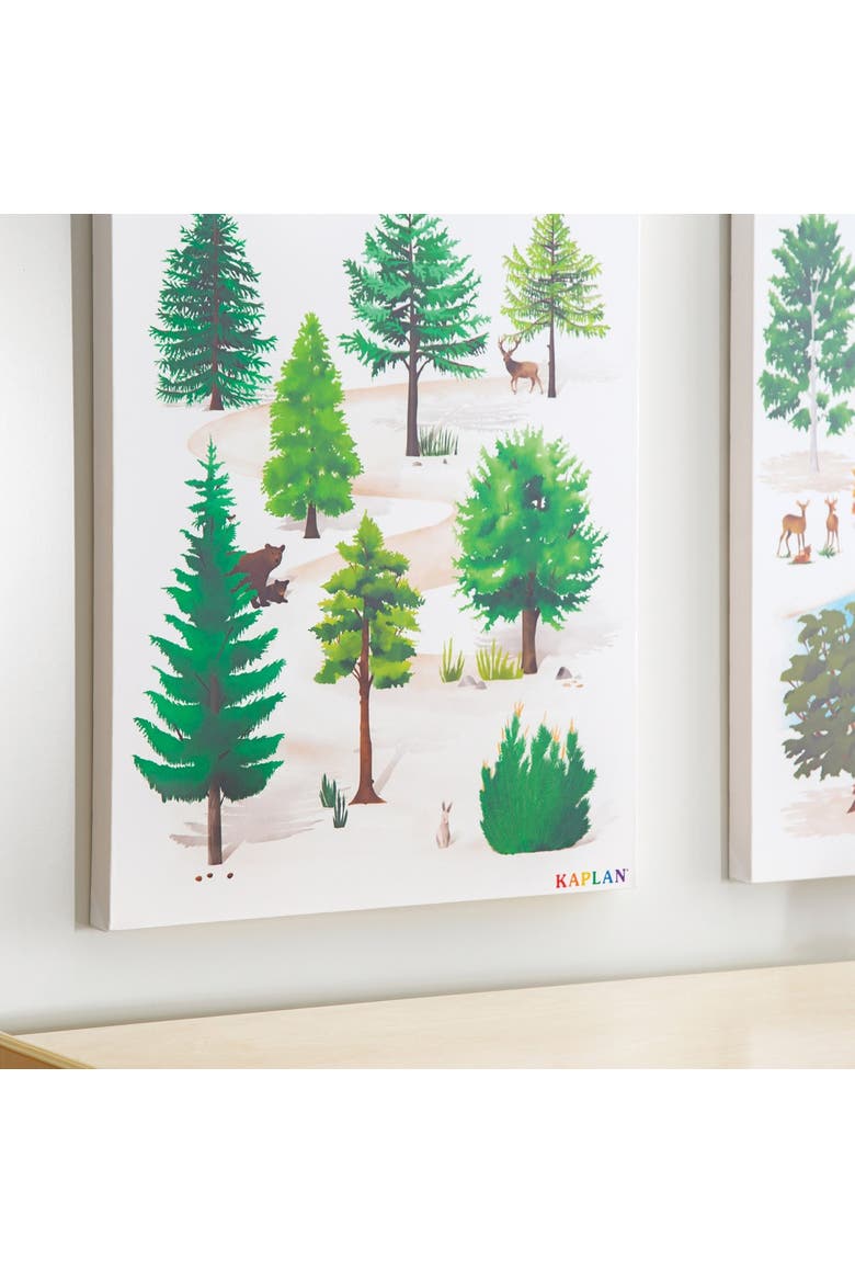 Coniferous Tree Giclee Classroom Wall Print, Alternate, color, green