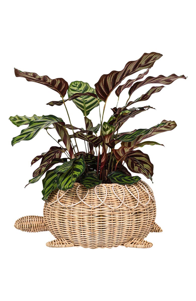 Juliska Provence Rattan Turtle Bowl, Alternate, color, Whitewash