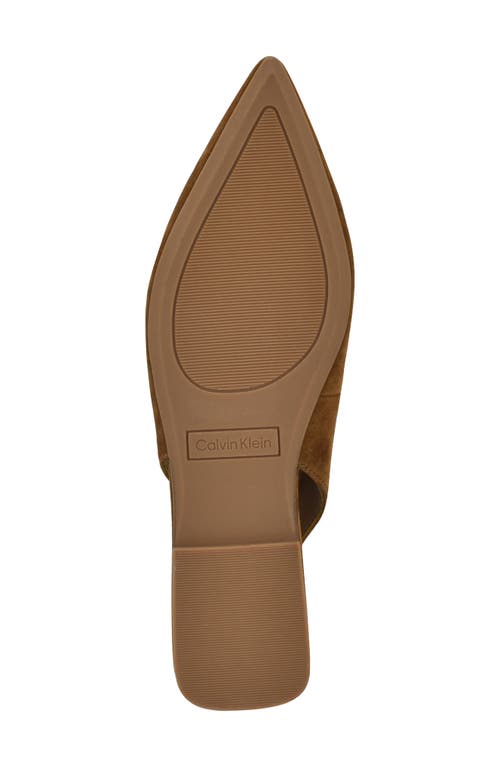 Calvin Klein Galiana Slingback Pointed Toe Flat