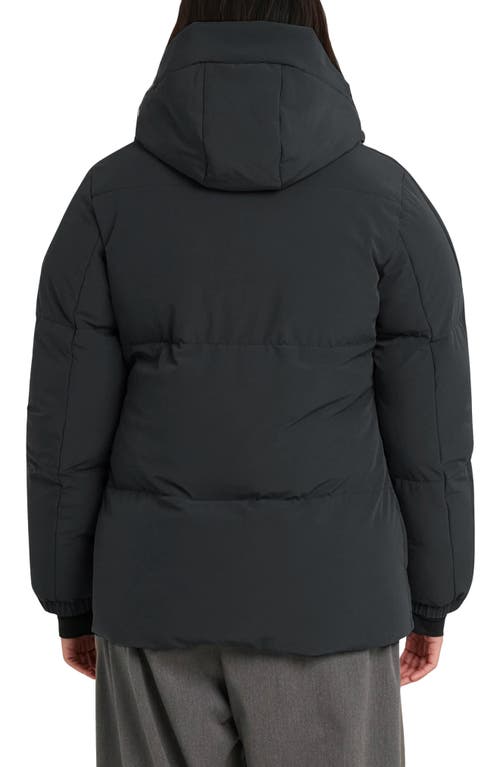 Noize Stacy Water Resistant Hooded Puffer Jacket In Black