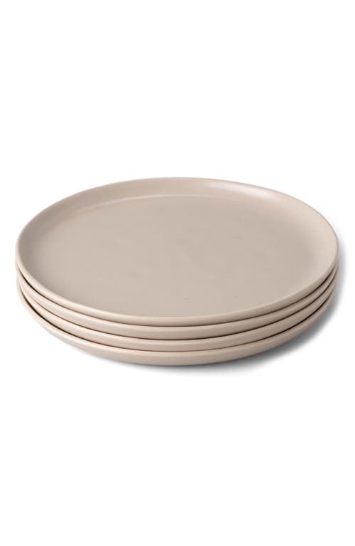 Fable The Set of 4 Salad Plates in Desert Taupe  product