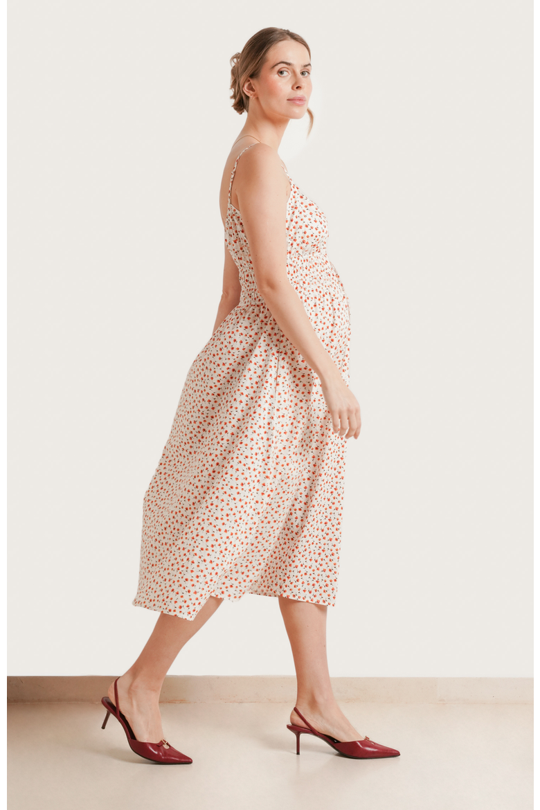 Roma Maternity & Nursing Dress, Alternate, color, Red Poppy Floral