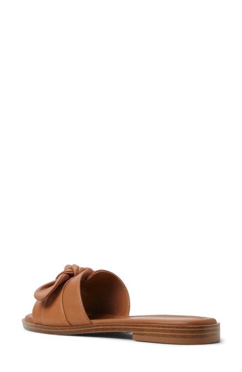 Aldo Lavinia Slide Sandal In Medium Brown