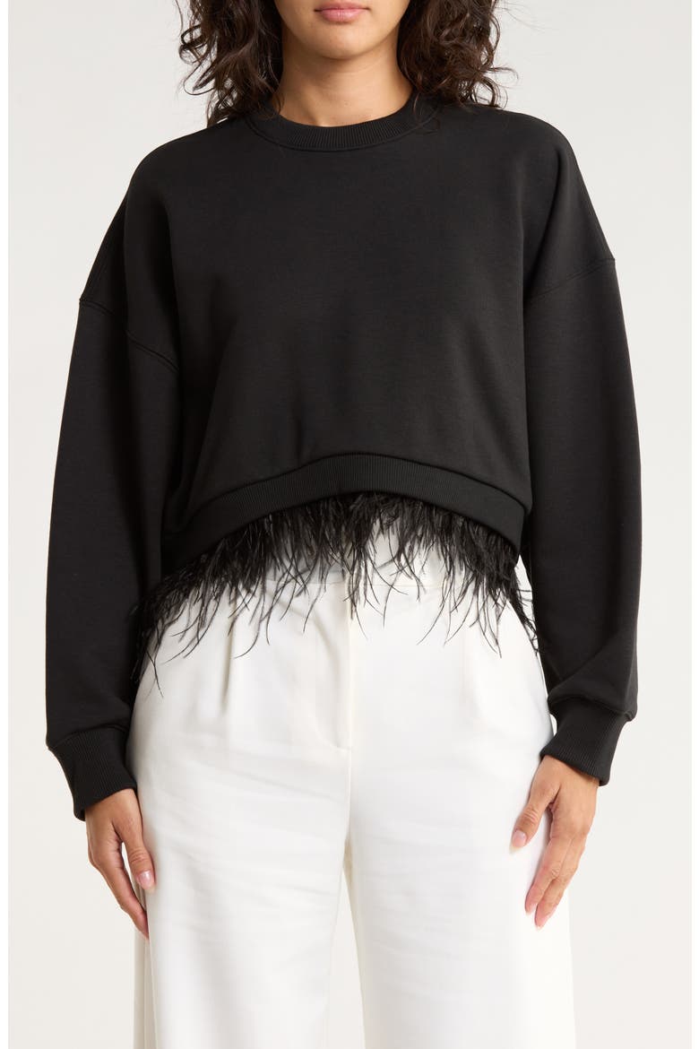 Albertine Feather Trim Cotton Blend Sweatshirt, Main, color, BLACK