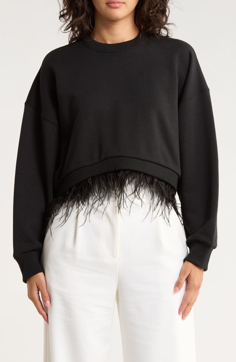 Cinq à Sept Albertine Feather Trim Cotton Blend Sweatshirt, Main, color, Black