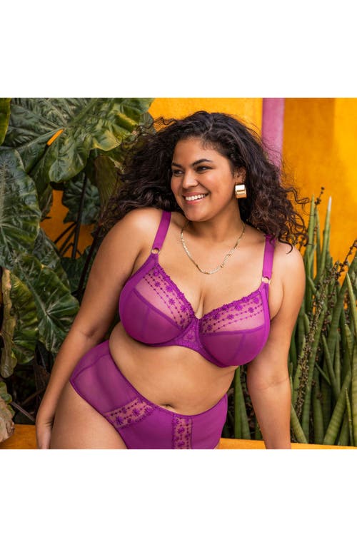 Elomi Matilda Full Figure Underwire Plunge Bra In Purple