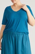 Universal Standard Light as Air V-Rex T-Shirt