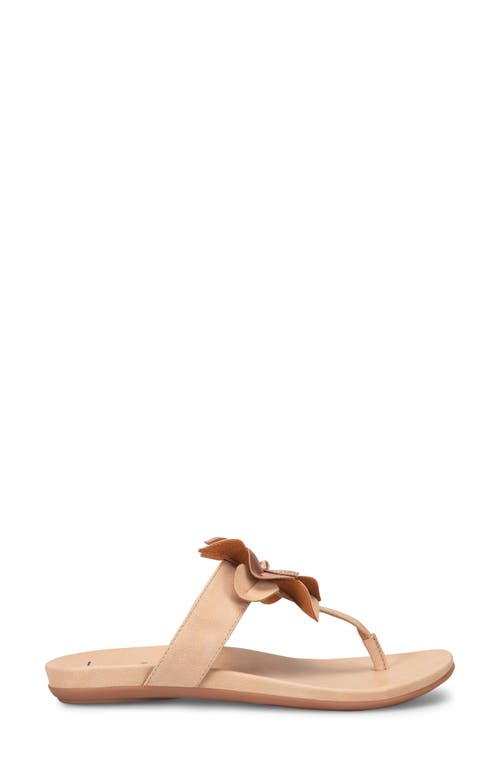 B O C By Børn Kendal Floral Appliqué Sandal