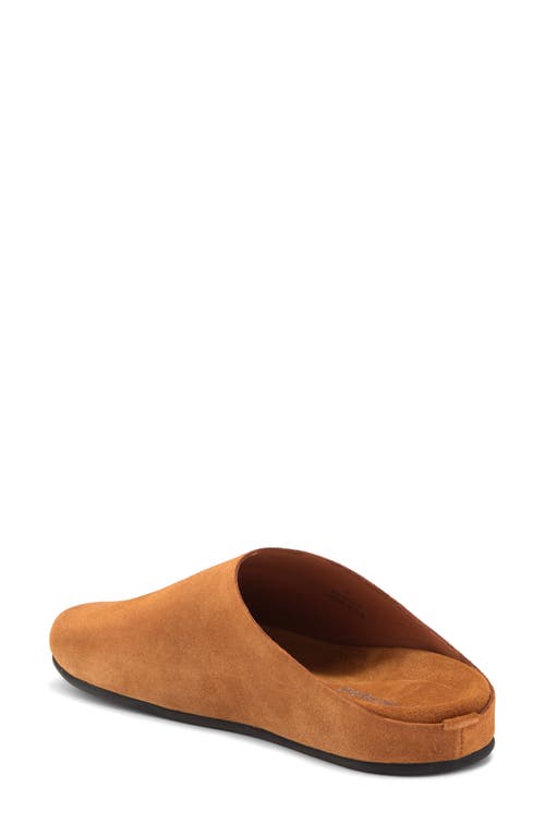 Jeffrey Campbell Content Suede Clog In Dark Tan Suede