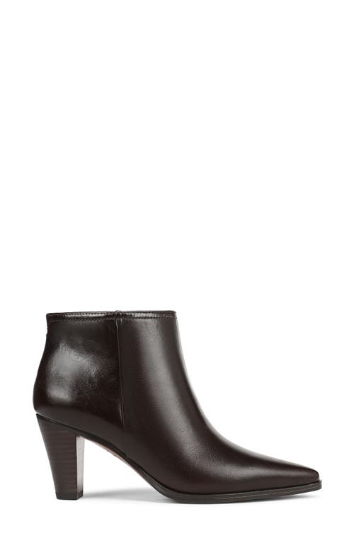 Franco Sarto Josiah Pointed Toe Bootie In Brown