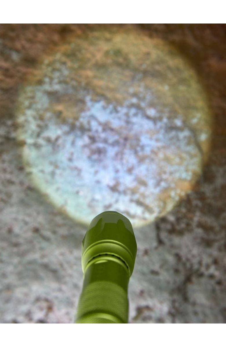 HABA Terra Kids Flashlight with Carabiner Clip, Kids Outdoor Toys, 4 Way Light Ideal for Kids Camping Essentials, Ages 6 and Up, Alternate, color, Multi