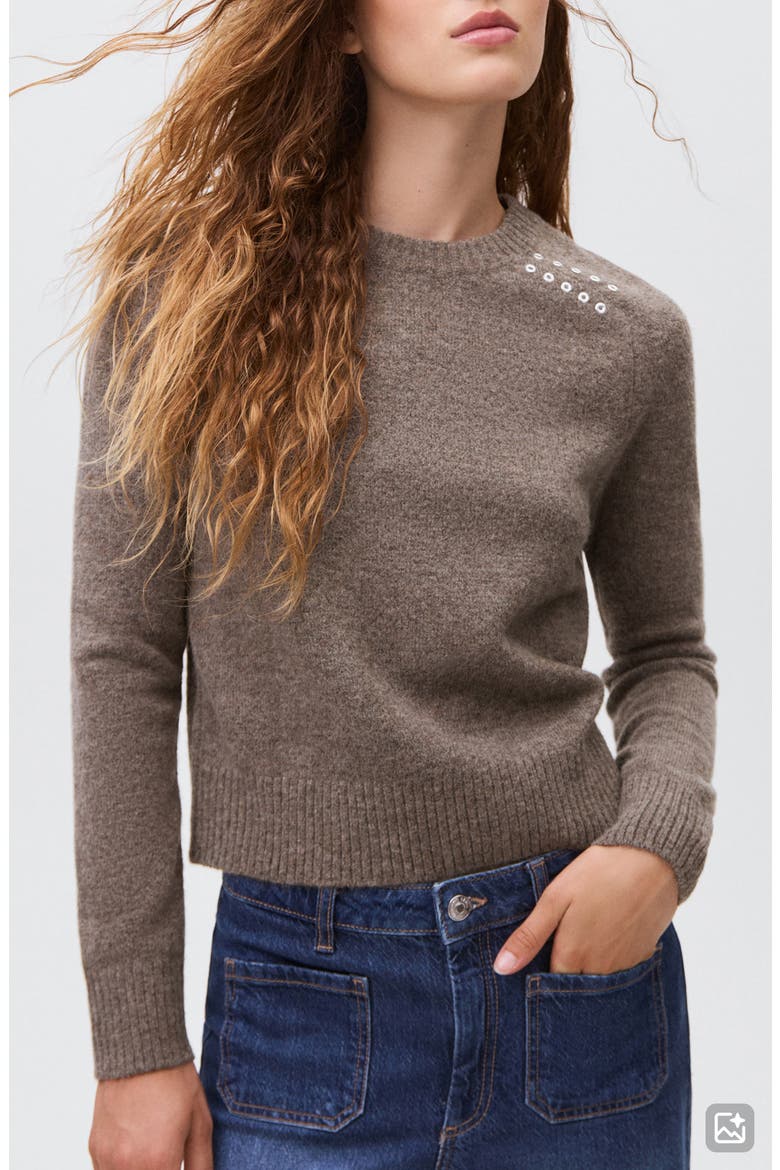 Grommet Knit Sweater, Main, color, BROWN