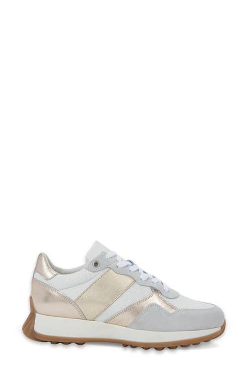 Naot Sunset Sneaker In Multi