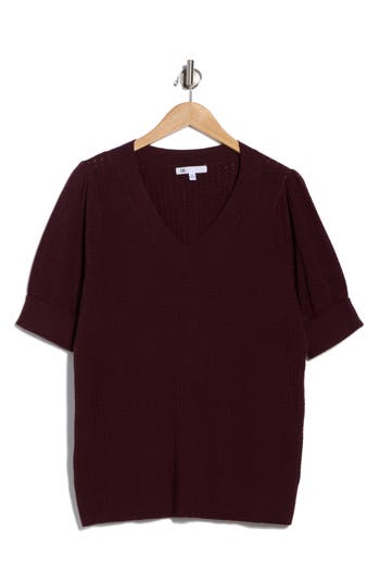 Dr2 By Daniel Rainn V-neck Short Sleeve Pointelle Sweater In Burgundy