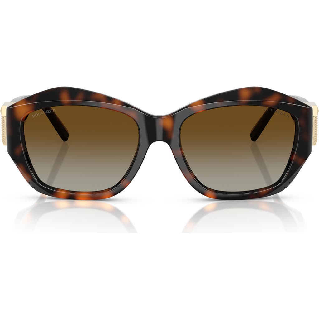 Tiffany & Co . 54mm Gradient Pillow Sunglasses