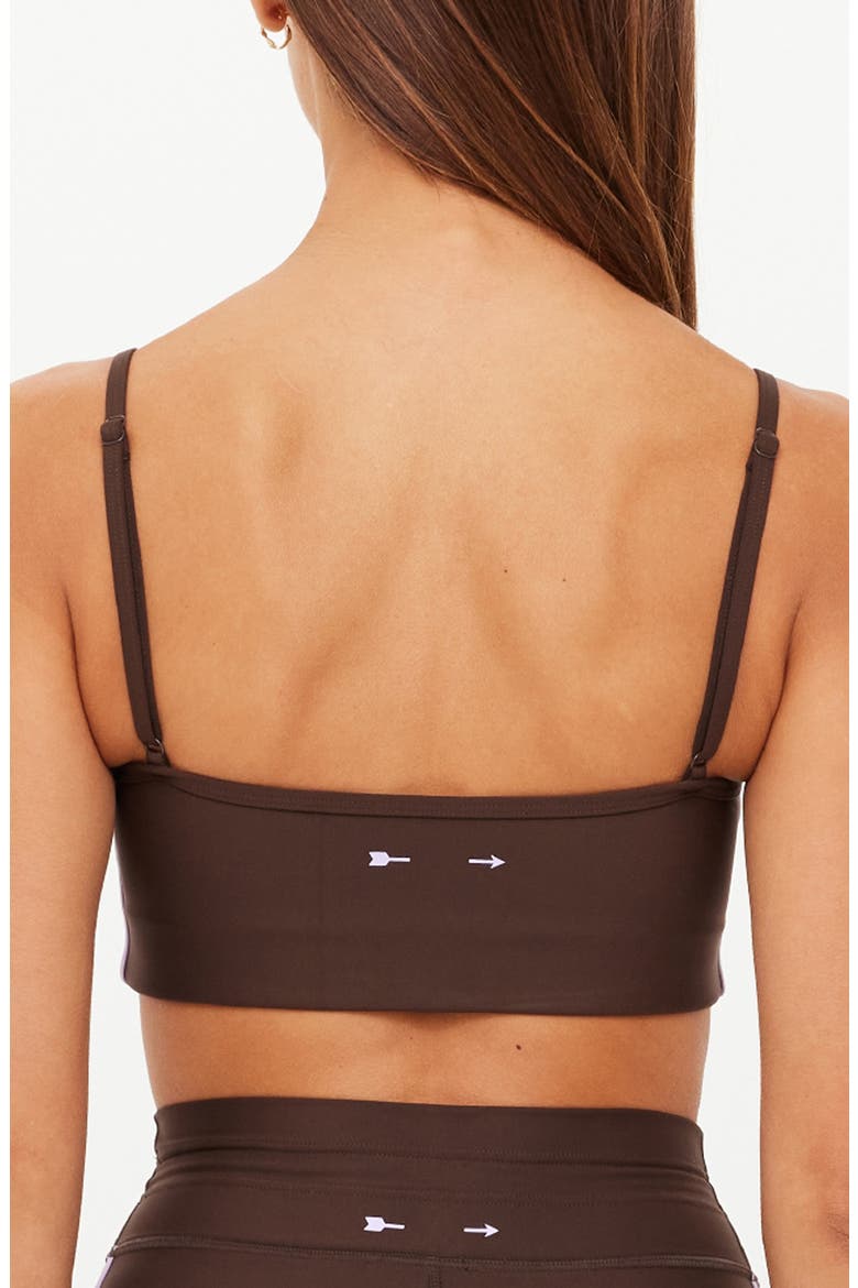 Oxford Hutton Scoop Neck Sports Bra, Alternate, color, BROWN