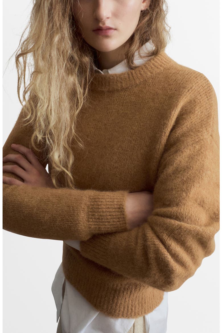 Crewneck Sweater, Main, color, MEDIUM BROWN