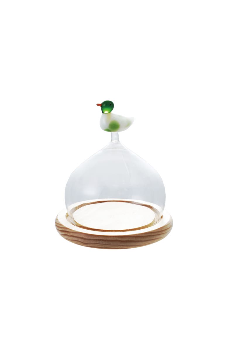 Storied Home Glass Cloche with Wood Base and Duck Topper, Main, color, Clear
