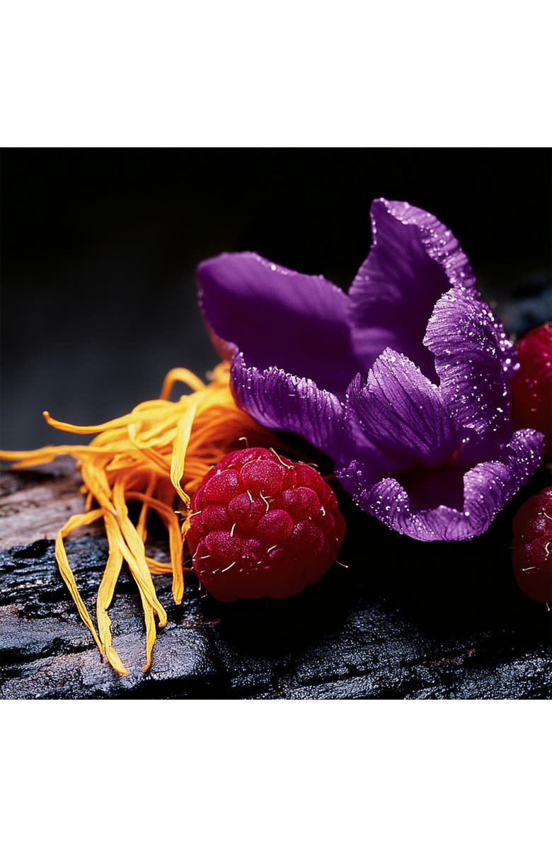 House of Sillage Passion de L'Amour Parfum, Alternate, color, 