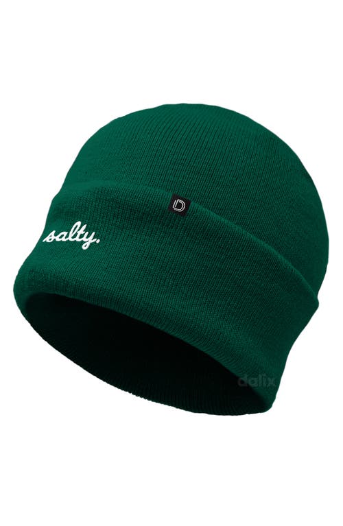 Dalix Salty Beanie Cap In Green