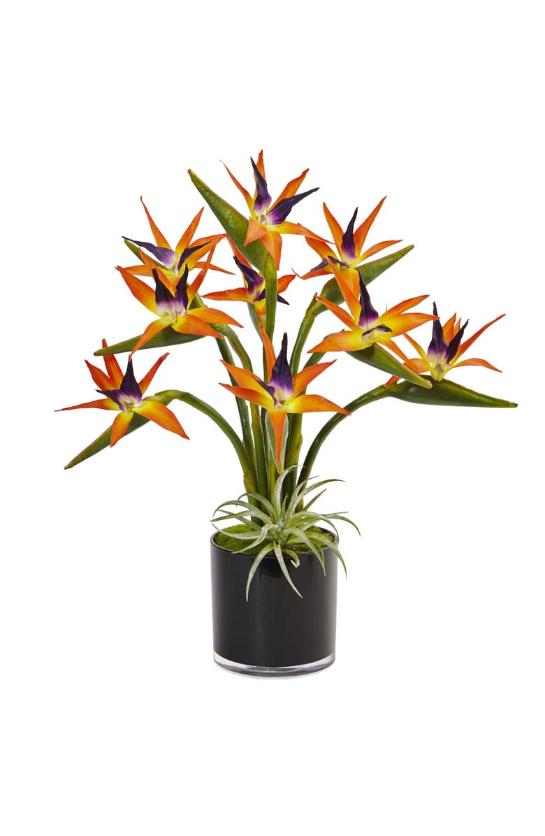 NEARLY NATURAL 24-in Bird of Paradise Artificial Arrangement in Black Glossy Cylinder, Main, color, Orange