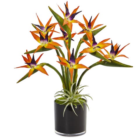 24-in Bird of Paradise Artificial Arrangement in Black Glossy Cylinder