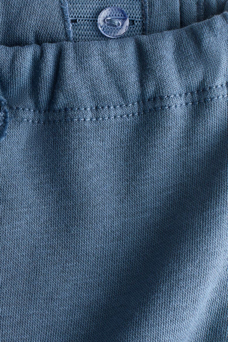 2-pack Brushed-inside Joggers, Alternate, color, Dusty blue/cars